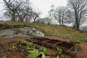En liten köksträdgård med kyrka i bakgrunden.