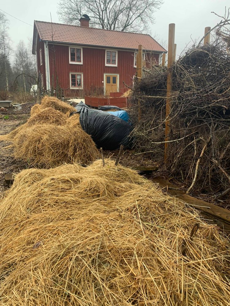 Täckodling i Skillnadens trädgård
