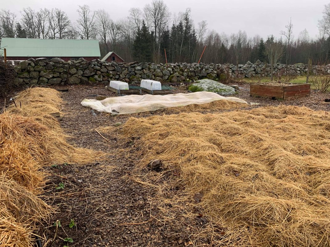 Täckodlade bäddar i Skillnadens trädgård