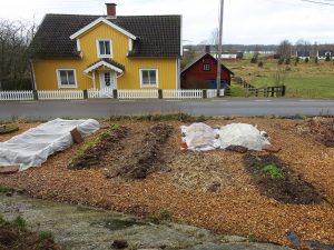 En köksträdgård med odlingsbäddar håller på att anläggas.