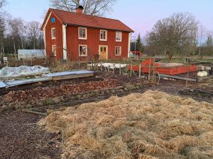 Skillnadens trädgård med täckodlade bäddar