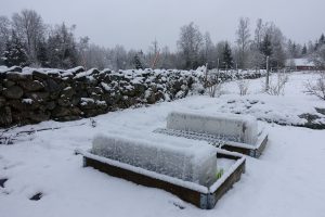 Snöigt landskap och pallkragar med små minitunnlar på.