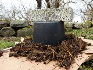 En odlingsbädd blir till med hjälp av kartong och hästgödsel.