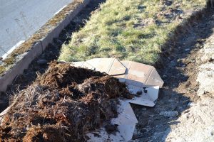 En sträng gräsmatta med kartong och gödsel på.