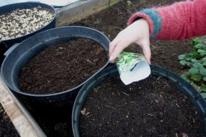 En hand håller i en fröpåse över en kruka.