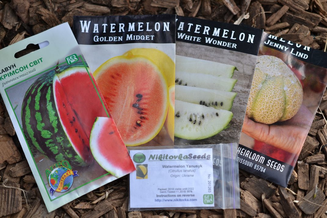 Fröpåsar med olika melonsorter