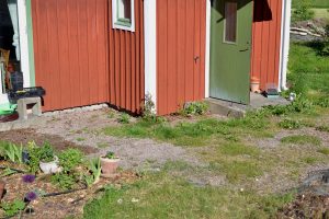 Baksida igenvuxen med ogräs.