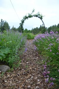 Lila blommor på var sida om en gång.