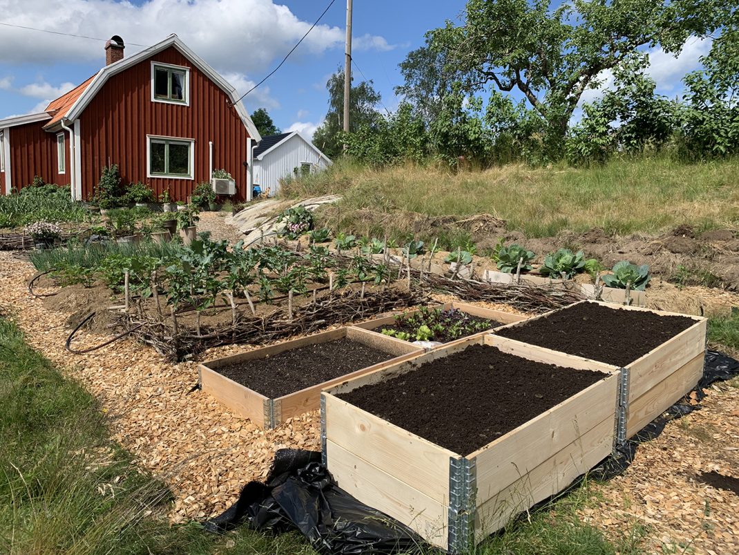 Ett litet rött hus med anlagd köksträdgård.