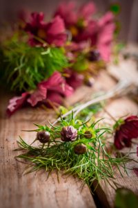 Rosenskäror som snittblomma