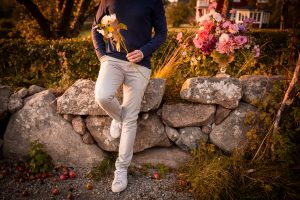 Sommarmalva som snittblomma
