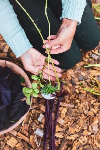 Bukettbindning i spiralform