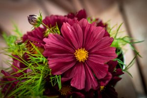 Bukett med rosa blommor