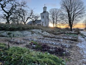 En vintrig köksträdgård med täckodlade bäddar fulla av skördeklara gröna blad.