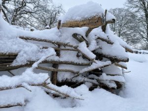 Snön har lagt sig på ett kviststaket.