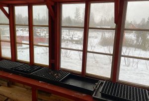 Ett tomt växthus med brätten och brickor på en bänk.