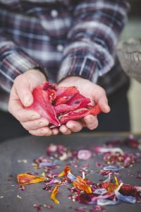 Potpurri av olika torkade blomblad