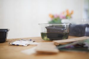 Vattnar plastbytta med sådd