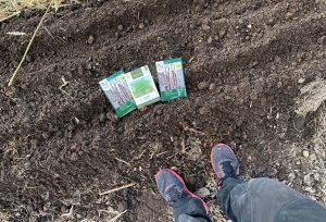 Fröpåsar ligger på jordbädden.