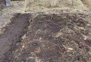 Jordplätt med växtskräp på.