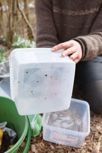 Sara gör en mask-kompost