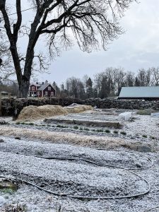 En köksträdgård i vintertäcke i april.