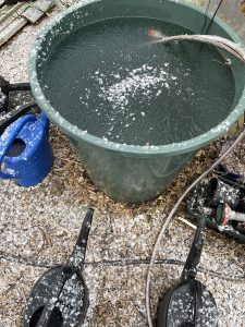 En plasttunna med vatten har frusit till is.