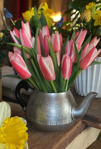 Små vita och röda tulpaner i en liten tekanna.