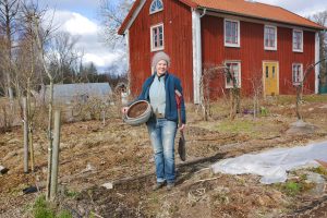 Sara på Skillnadens trädgård