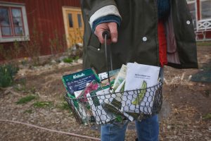 Sara sår på Skillnadens