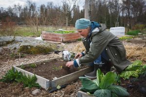 Sara i trädgården på Skillnadens