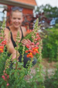 Sara skördar snittblommor