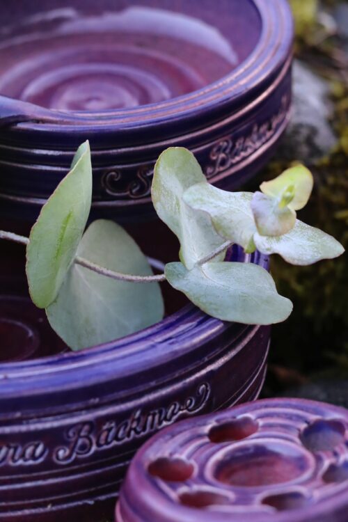 Skillnadens blomfat - litet