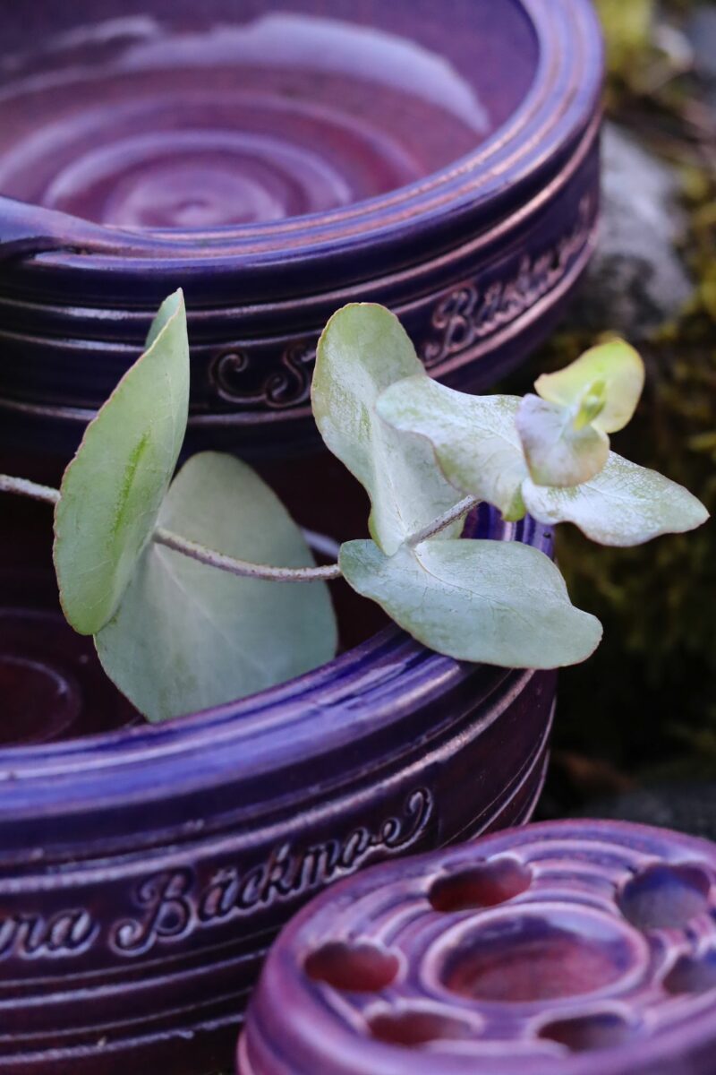 Skillnadens blomfat - litet