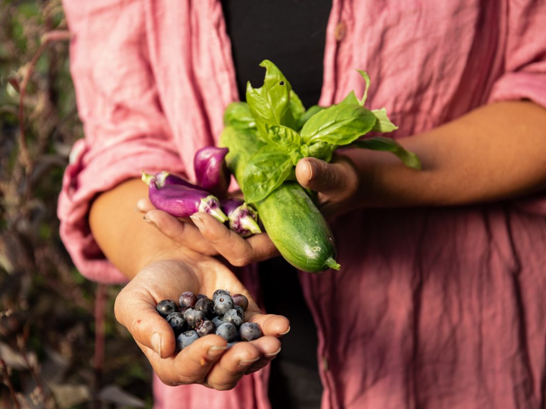 Sara håller nyskördade godsaker i händerna - blåbär, paprika, gurka och basilika.