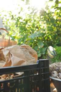 Förvara lök i papperspåsar