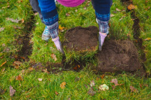 Sara vänder grästorvor