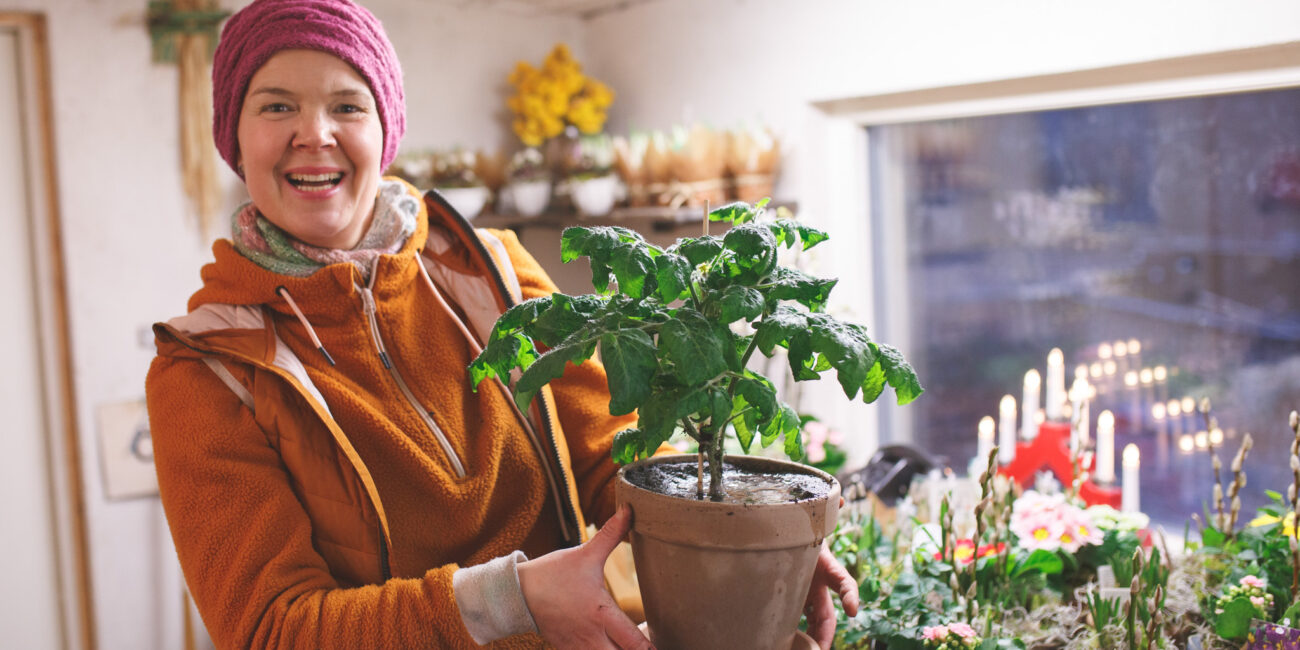 Sara med nyplanterad tomatplanta