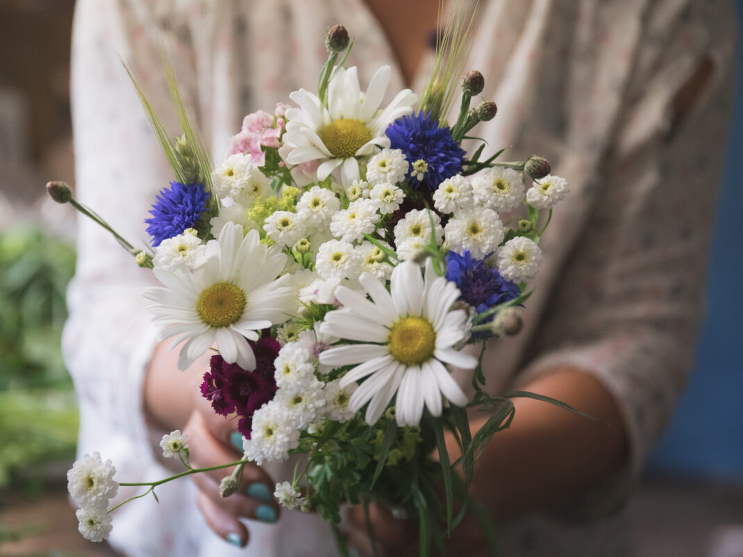 Liten bukett av sommarblommor binds.