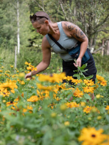 Sara plockar sommarrudbeckia.