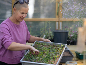 Sara med ett tråg fullt av myntasticklingar.