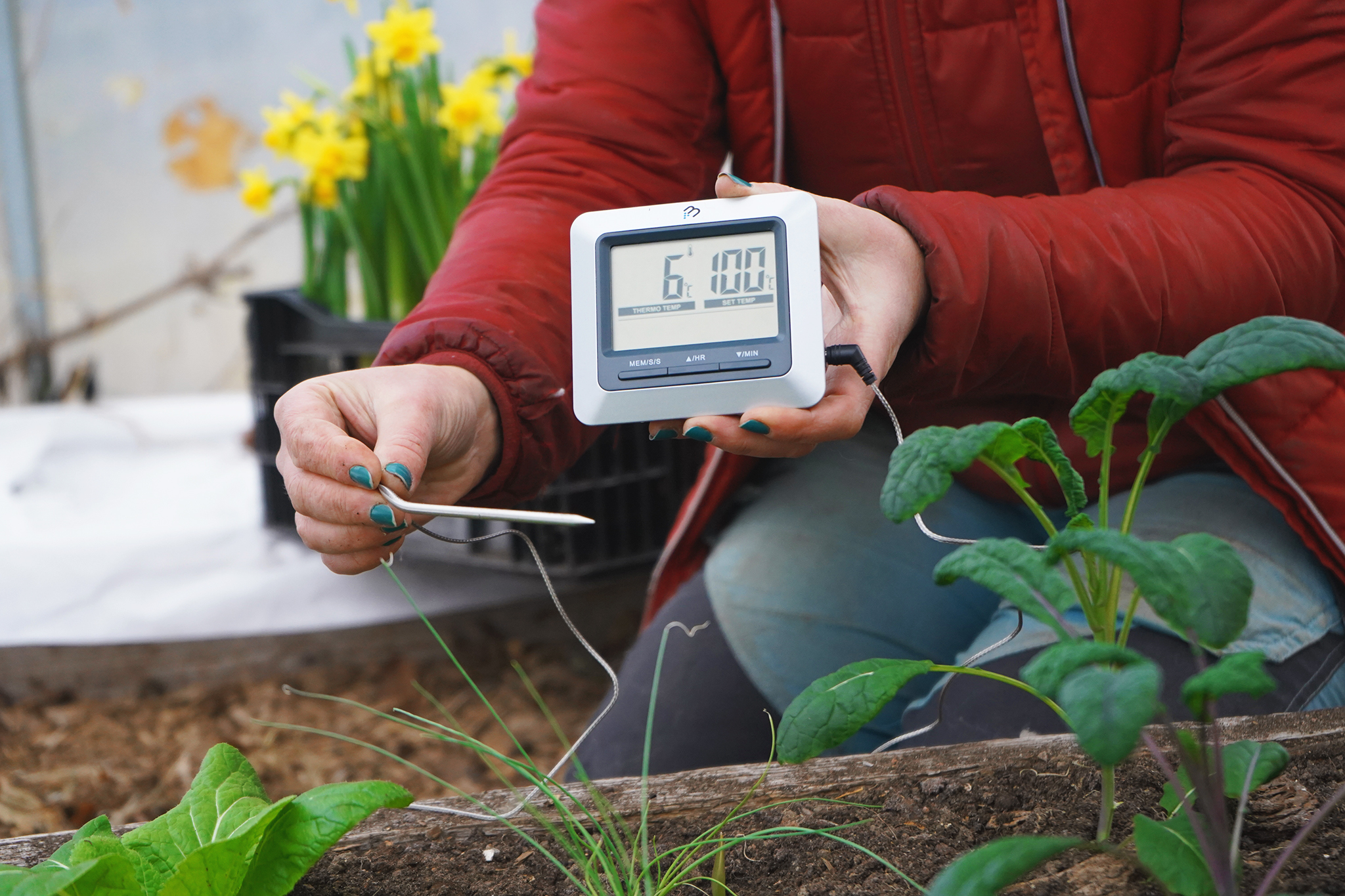 Mät jordens temperatur i trädgården