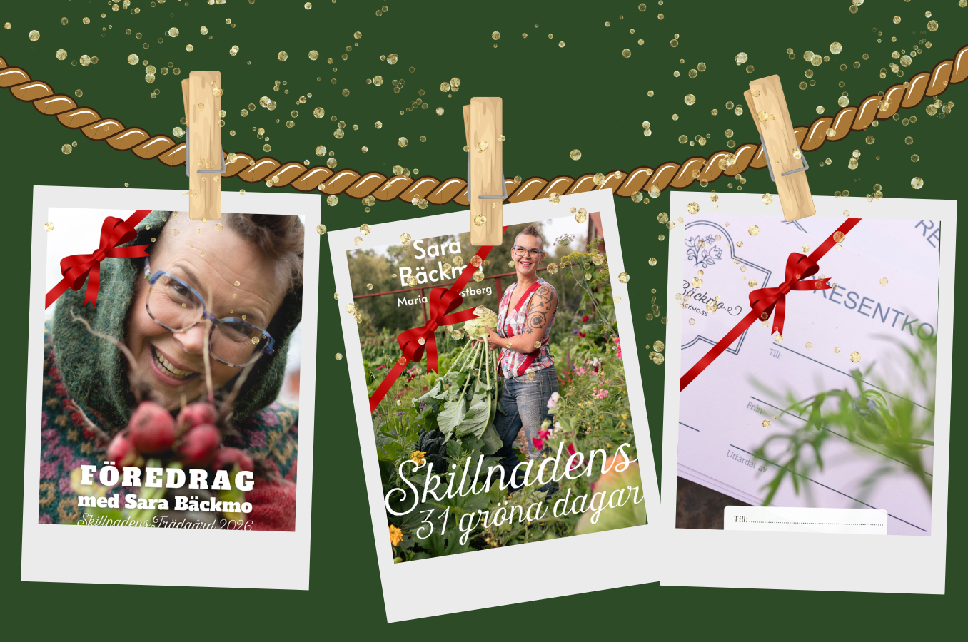 gebort-kollage-jul2025