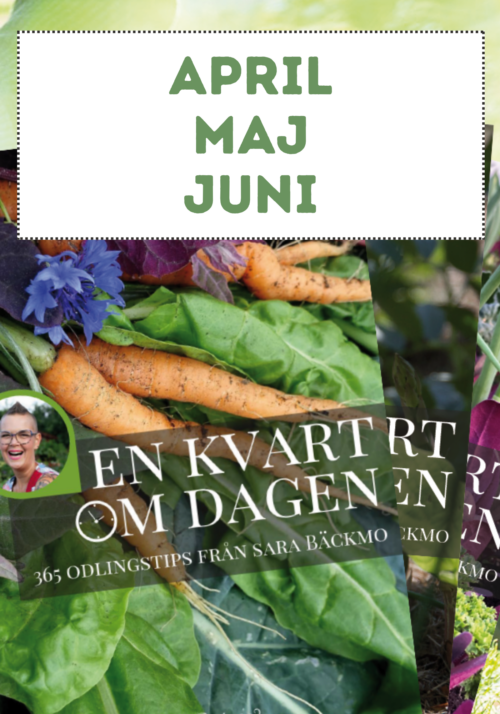 En kvart om dagen - 365 odlingstips