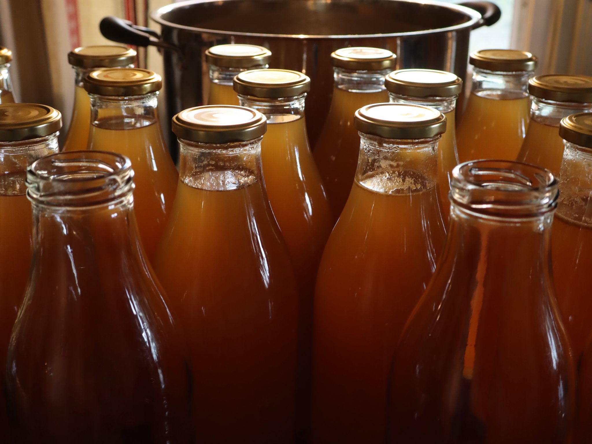 sarabackmo-appelmust-must