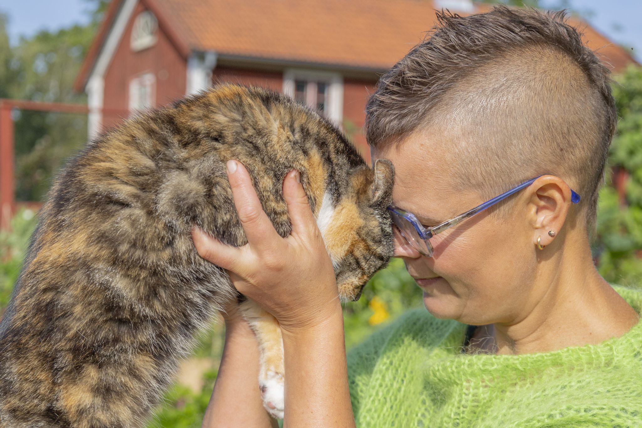 sarabackmo-skillnadenstradgar-katt