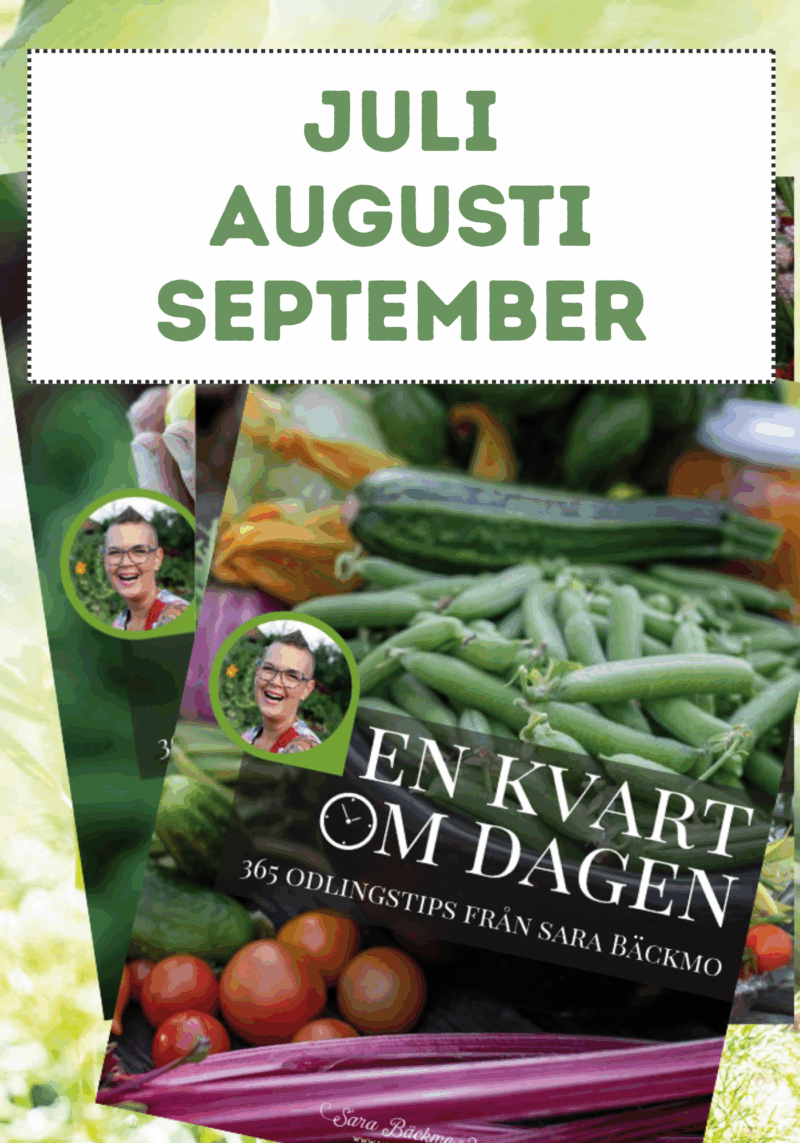 En kvart om dagen - 365 odlingstips - Kvartal 3