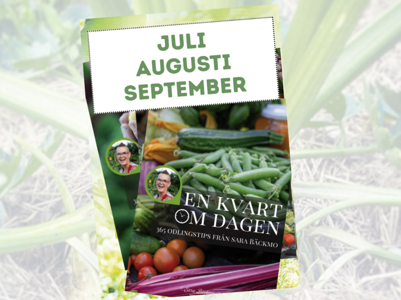 En kvart om dagen - 365 odlingstips - Kvartal 3