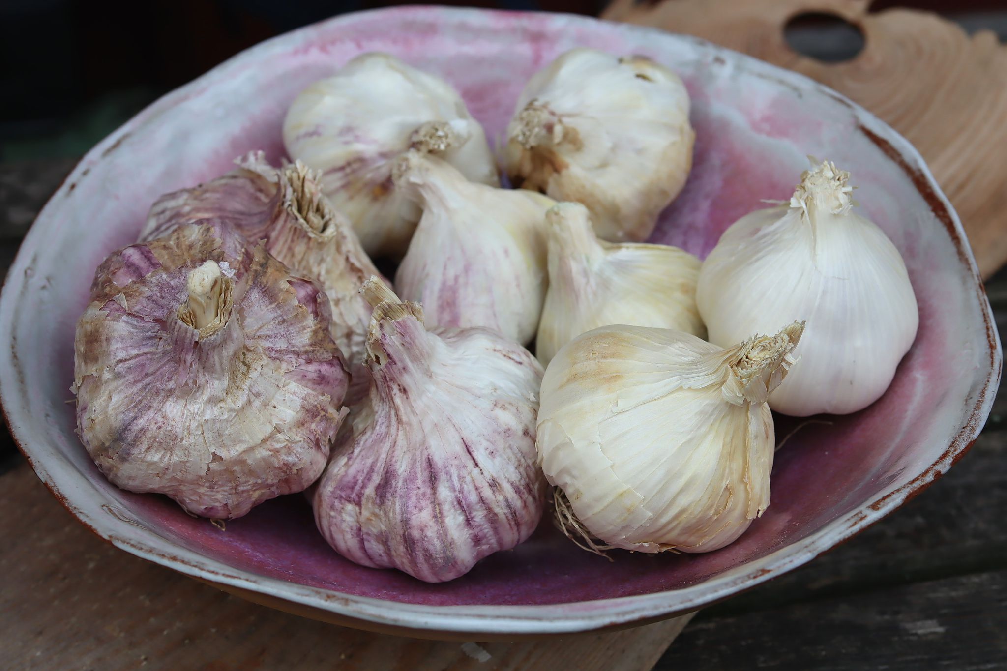 sarabackmo-vitlok-sattvitlok