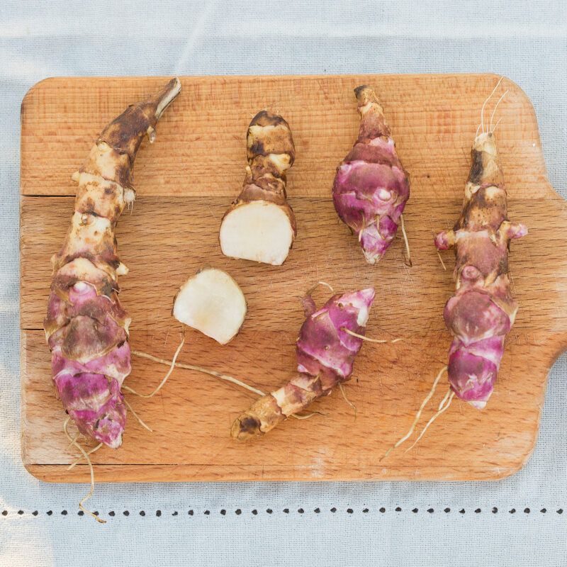 Jordärtskocka -låg 'Papas' (9)